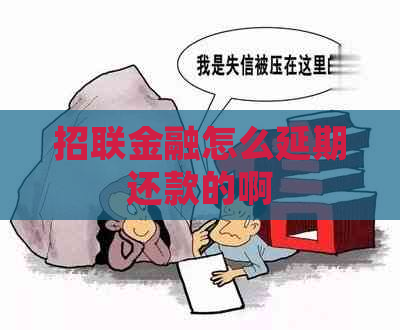 招联金融怎么延期还款的啊