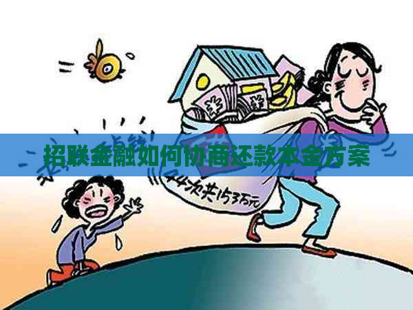 招联金融如何协商还款本金方案