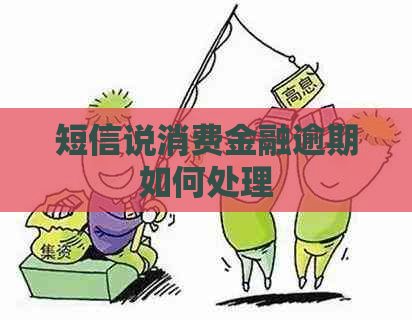 短信说消费金融逾期如何处理