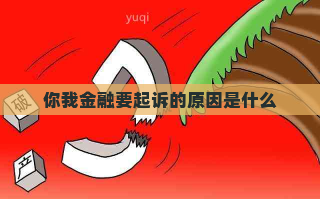 你我金融要起诉的原因是什么