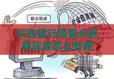 兴业银行信用卡逾期应该怎么处理