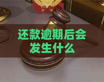 还款逾期后会发生什么