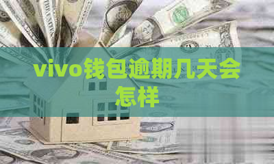 vivo钱包逾期几天会怎样