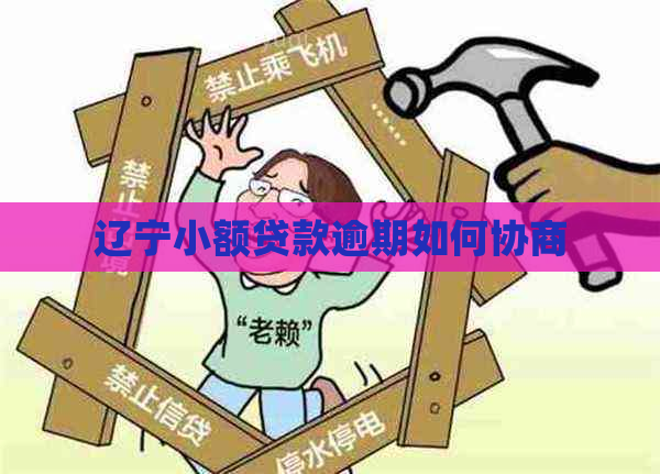 辽宁小额贷款逾期如何协商