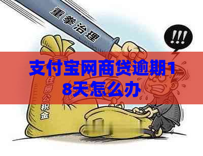 支付宝网商贷逾期18天怎么办