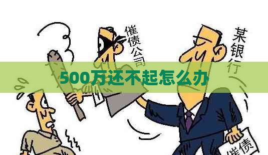 500万还不起怎么办