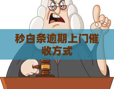 秒白条逾期上门方式