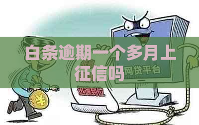 白条逾期一个多月上吗