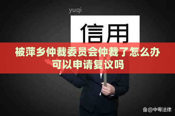 被萍乡仲裁委员会仲裁了怎么办可以申请复议吗