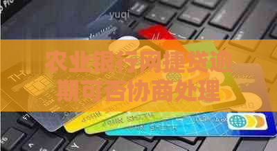 农业银行网捷贷逾期可否协商处理