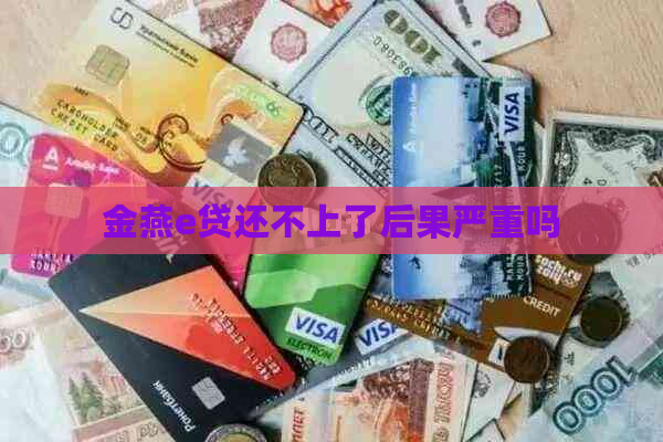 金燕e贷还不上了后果严重吗