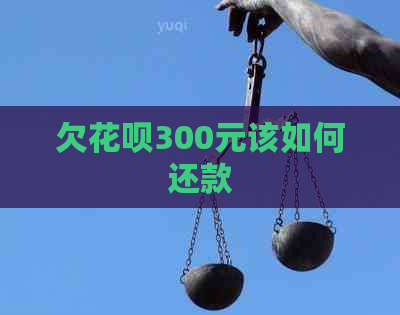 欠花呗300元该如何还款