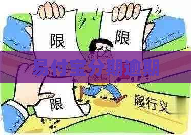 易付宝分期逾期