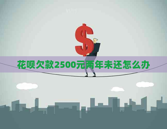 花呗欠款2500元两年未还怎么办