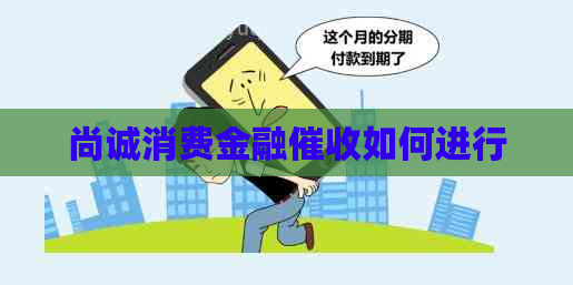 尚诚消费金融如何进行