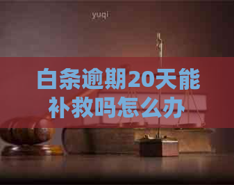 白条逾期20天能补救吗怎么办