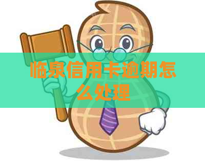 临泉信用卡逾期怎么处理