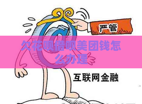 欠花呗借呗美团钱怎么办理