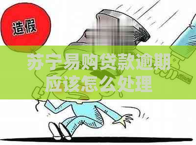 苏宁易购贷款逾期应该怎么处理