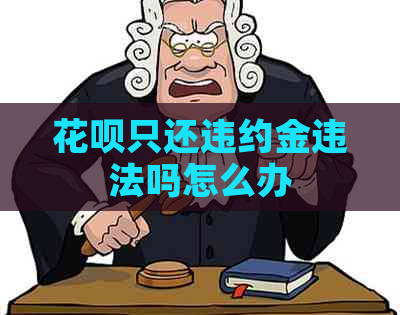 花呗只还违约金违法吗怎么办