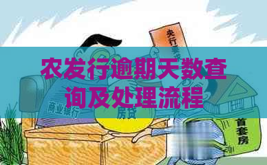 农发行逾期天数查询及处理流程