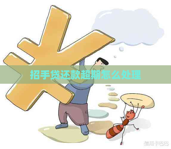 招手贷还款超期怎么处理