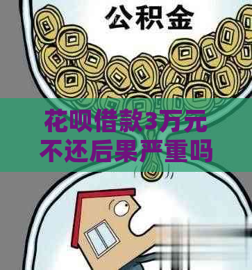 花呗借款3万元不还后果严重吗