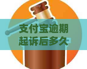 支付宝逾期起诉后多久立案