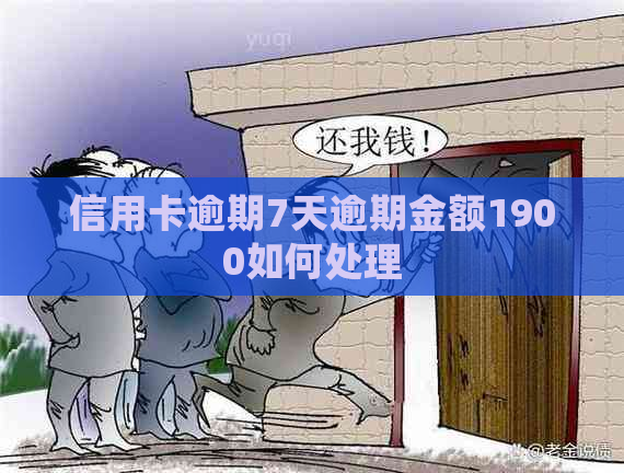 信用卡逾期7天逾期金额1900如何处理