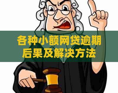 各种小额网贷逾期后果及解决方法