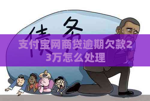 支付宝网商贷逾期欠款23万怎么处理