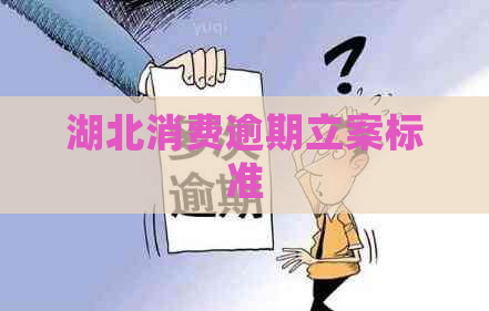 湖北消费逾期立案标准