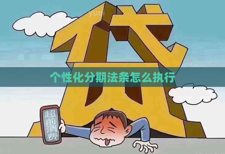 个性化分期法条怎么执行