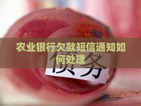 农业银行欠款短信通知如何处理