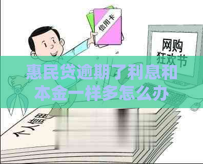 惠民贷逾期了利息和本金一样多怎么办