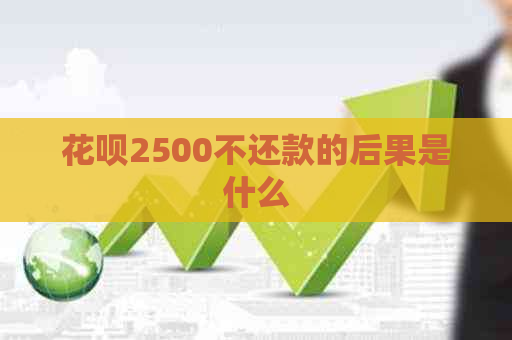 花呗2500不还款的后果是什么