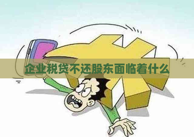 企业税贷不还股东面临着什么