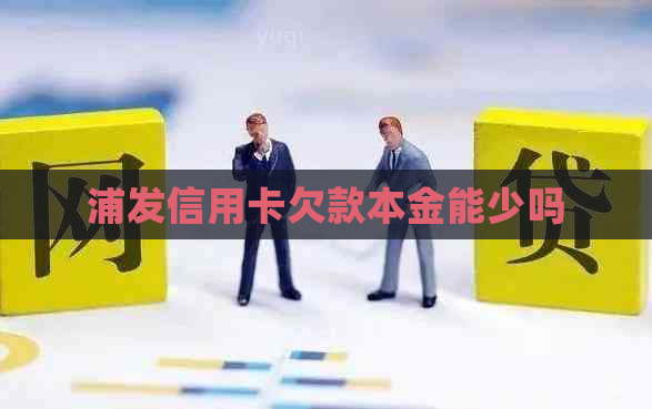 浦发信用卡欠款本金能少吗