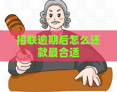 招联逾期后怎么还款最合适