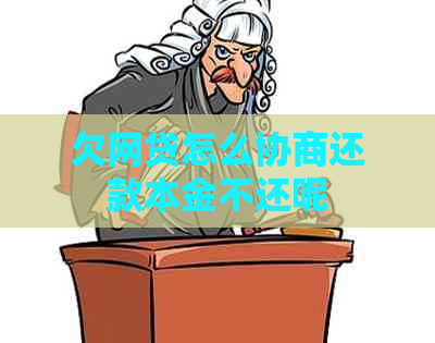 欠网贷怎么协商还款本金不还呢