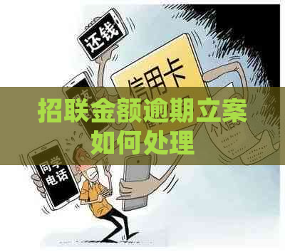 招联金额逾期立案如何处理