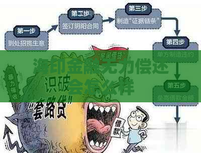 海印金融无力偿还会怎么样