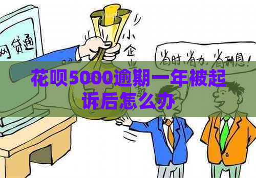 花呗5000逾期一年被起诉后怎么办