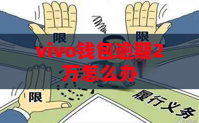 vivo钱包逾期2万怎么办