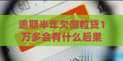 逾期半年欠微粒贷1万多会有什么后果