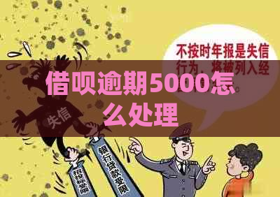 借呗逾期5000怎么处理