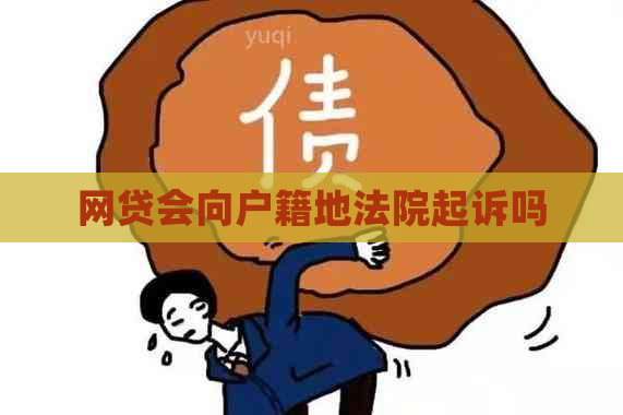 网贷会向户籍地法院起诉吗