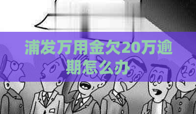 浦发万用金欠20万逾期怎么办