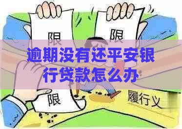 逾期没有还平安银行贷款怎么办