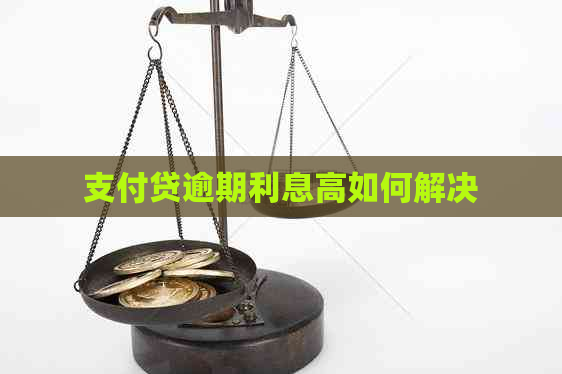 支付贷逾期利息高如何解决